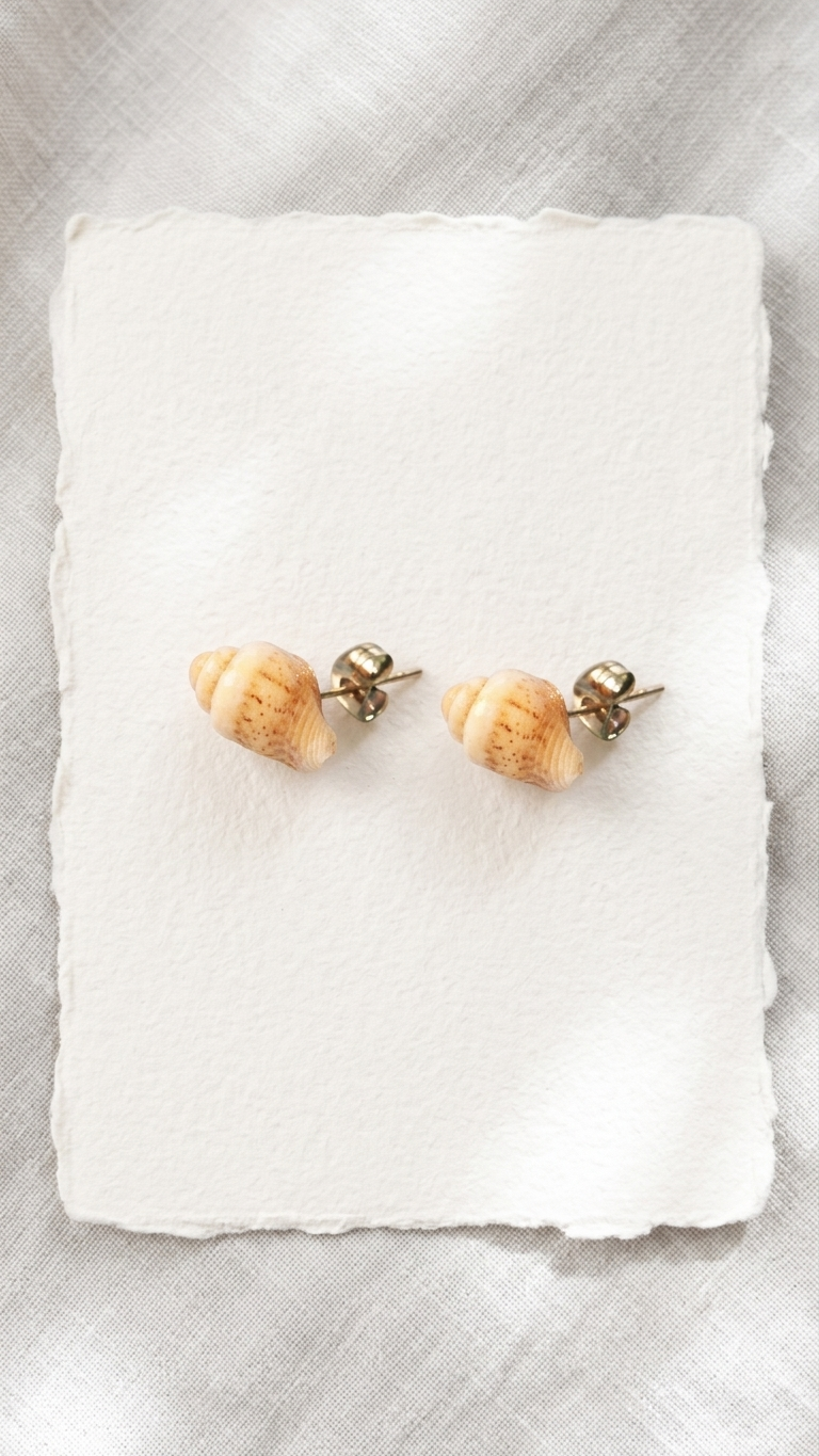 Conch Shell Post Earrings