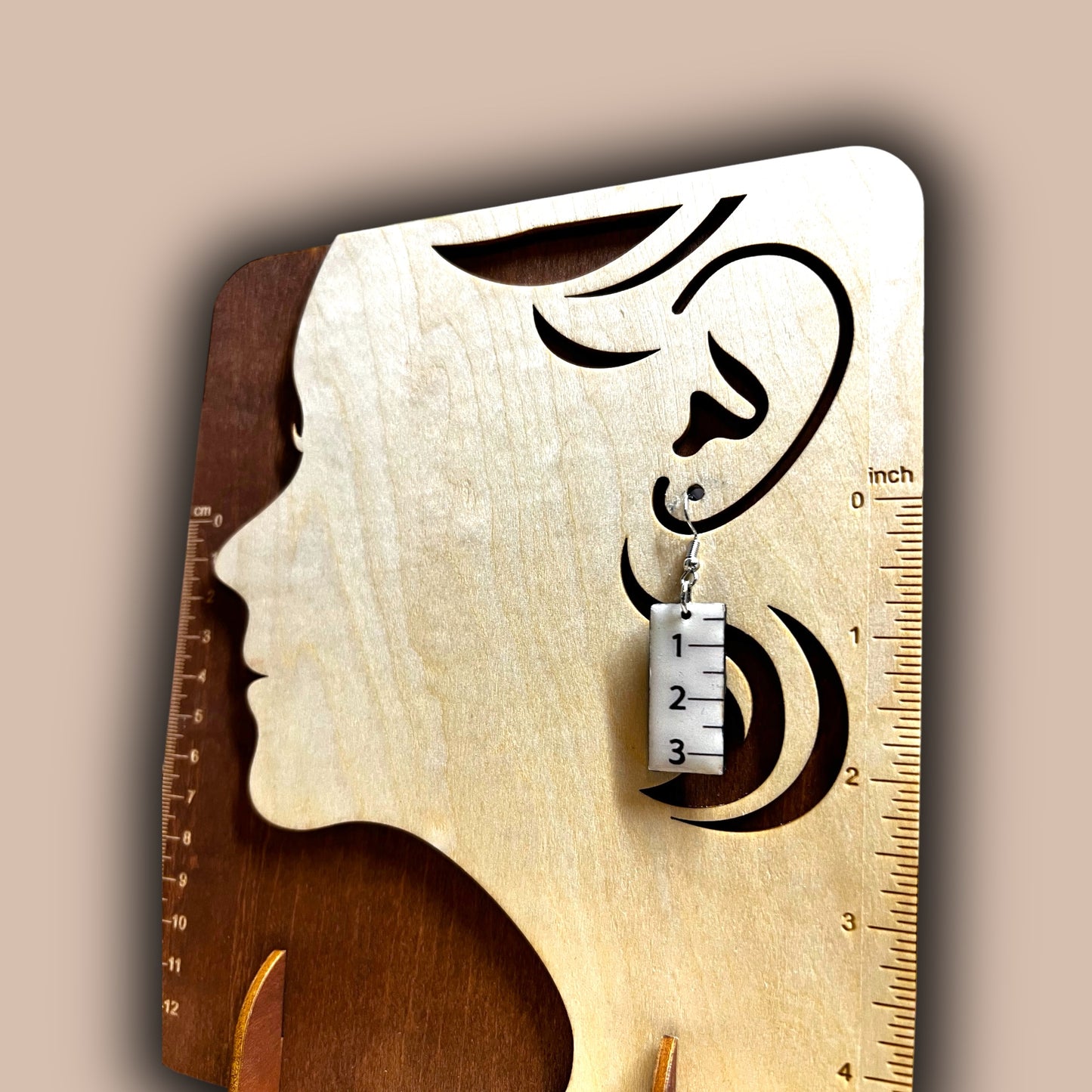 โ๐ Math Teacher Earrings โ Where Style Meets STEM โ๏ธโ