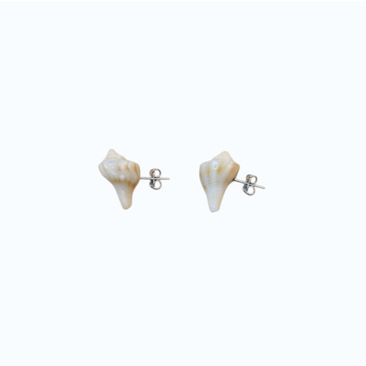 Dainty Conch Shell Necklace & Post Earrings