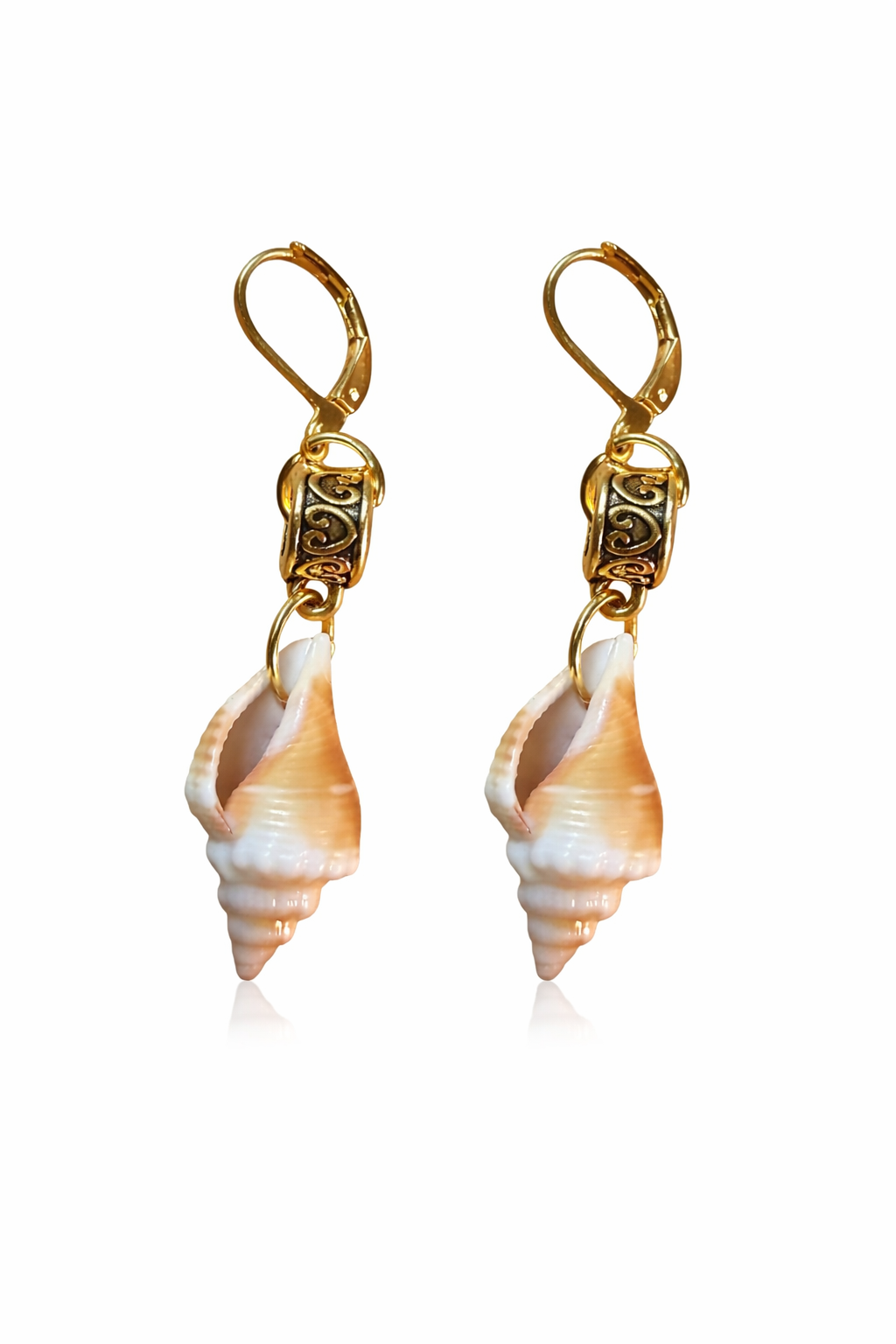 Small Conch Shells
