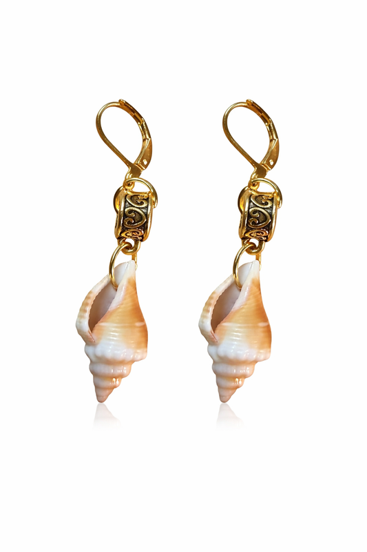 Small Conch Shells