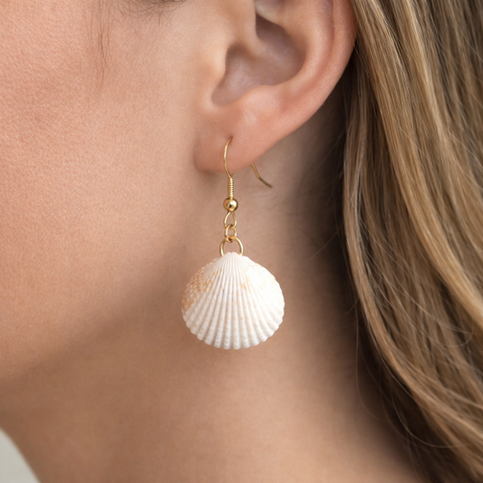 Sea Scallop Shell Earrings