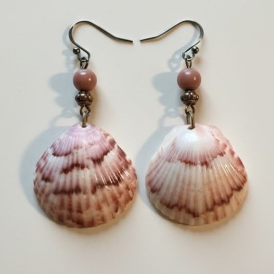 Blush Tide Shell Jewelry Set